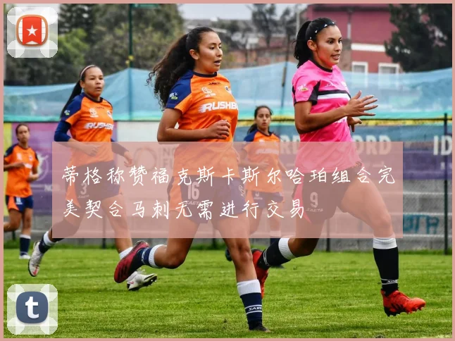 蒂格称赞福克斯卡斯尔哈珀组合完美契合马刺无需进行交易