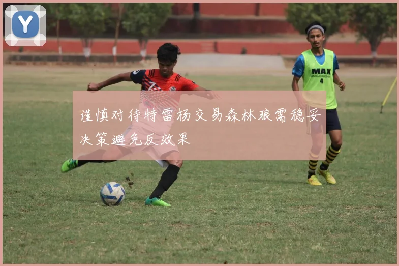 谨慎对待特雷杨交易森林狼需稳妥决策避免反效果